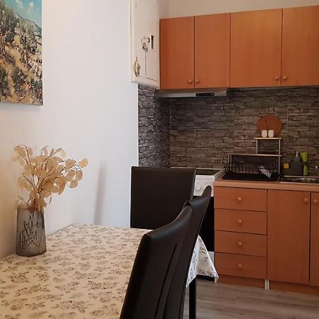 Apartman Lara Apartment ริเยกา ภายนอก รูปภาพ